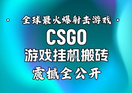 【年底大揭秘】基于全球最火爆的射擊CSGO游戲掛G搬磚，日入5張+，震撼公開