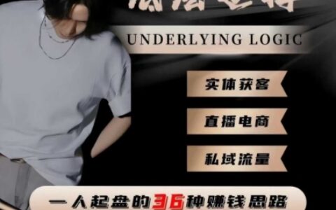 一個人起盤的底層邏輯，私域流量-直播電商-實體獲客，一人起盤的36種賺錢思路