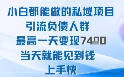 2025年小白都能做的私域項目引流負債人群最高一天變現1k+高變現難度低當天就能見到錢上手快
