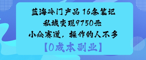 藍海冷門產品：16條筆記私域變現9750米小眾賽道，操作的人不多