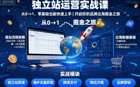 獨立站運營實戰課，?從0到1，零基礎也能快速上手，開啟你的品牌出海掘金之旅