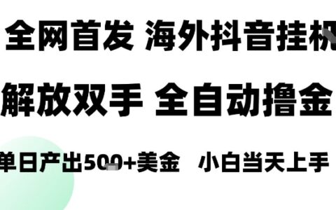 海外抖音無人直播，單日產(chǎn)出1.5k+，長期穩(wěn)定，新手可玩，無腦操作【揭秘】