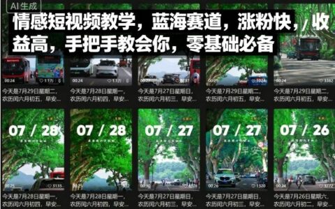 情感短視頻教學，藍海賽道，漲粉快，收益高，手把手教會你，零基礎必備