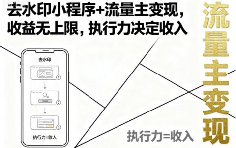 去水印小程序+流量主變現(xiàn)，收益無上限，執(zhí)行力決定收入