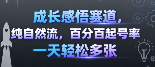 成長感悟賽道,純自然流,百分百起號率 一天輕松多張
