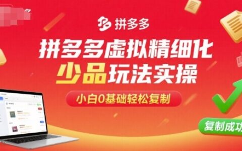 拼多多虛擬精細化少品玩法實操，小白0基礎輕松復制