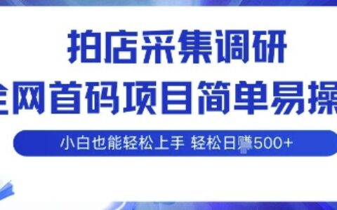 拍店采集調研，全網首碼項目，簡單易操作， 小白也能輕松上手，多賬號操作，輕松日入5張【揭秘】