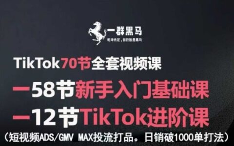 TikTok全套視頻課，新手入門+進階課，短視頻ADS-GMV MAX投流打品，日銷破1000單打法
