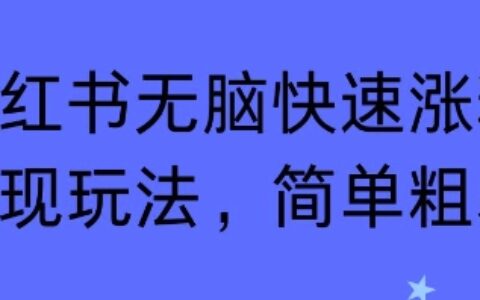 小紅書無腦快速漲粉變現玩法，簡單粗暴