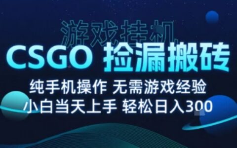 8月最新游戲搬磚，CSGO純掛G，不需要玩游戲，實現真掛G，月入1W+【揭秘】