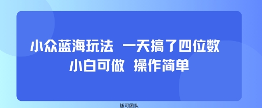 小眾藍海玩法 一天搞了四位數 小白可做 操作簡單