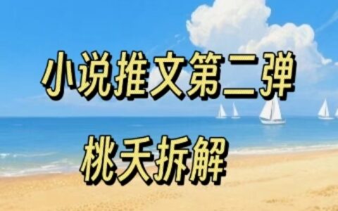 小說推文項目操作全流程第二彈，0粉就能做，門檻低非常適合新手