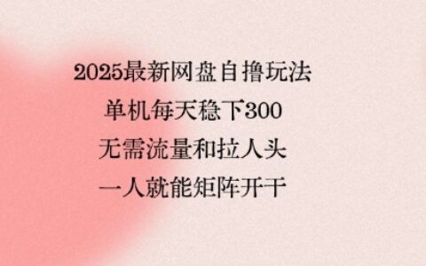 2025最新網盤自擼玩法，單機每天穩下3張，無需流量和拉人頭，一個人就可輕松矩陣，全網獨一份【揭秘】