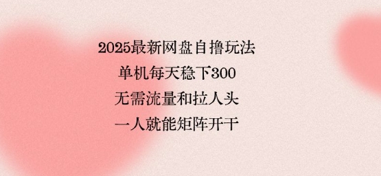 2025最新網(wǎng)盤自擼玩法，單機每天穩(wěn)下3張，無需流量和拉人頭，一個人就可輕松矩陣，全網(wǎng)獨一份【揭秘】