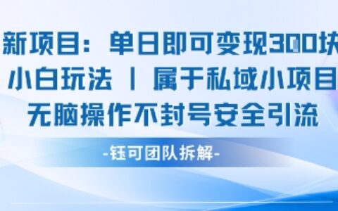新項目單日即可變現3張的小白玩法無腦操作不封號安全引流