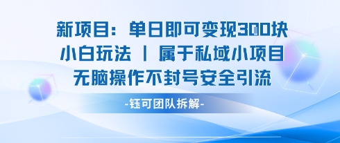 新項目單日即可變現3張的小白玩法無腦操作不封號安全引流