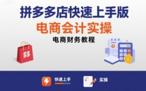 拼多多店快速上手版電商會計實操-電商財務教程