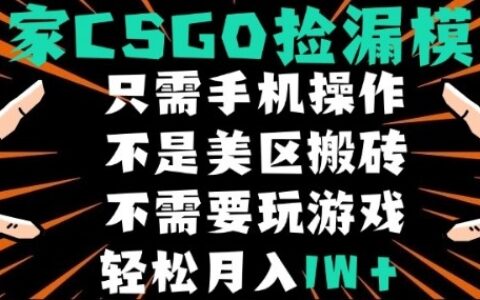 CSGO自動(dòng)撿漏項(xiàng)目，最新獨(dú)家玩法，不是美區(qū)搬磚，不需要了解和玩游戲，新手小白輕松月入1W+【揭秘】