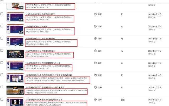 2025油管引流術,分享我是如何通過油管做引流的