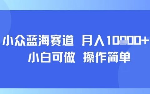 小眾藍(lán)海賽道，小白可做，操作簡單，每天30分鐘，月入1W+