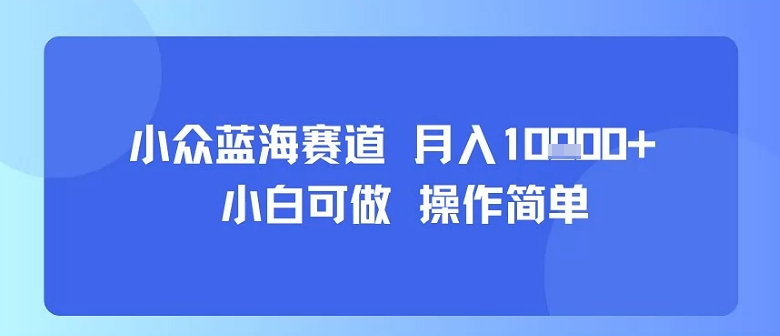 小眾藍海賽道,小白可做,操作簡單,每天30分鐘,月入1W+
