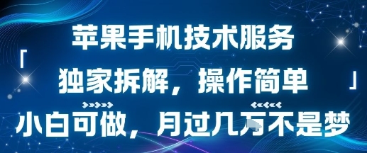 蘋果手機技術服務，獨家拆解，操作簡單，小白可做，月過1W不是夢