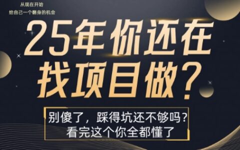 25年，你還在瘋狂的找項目嗎？別傻了，看完這個你都懂了【揭秘】