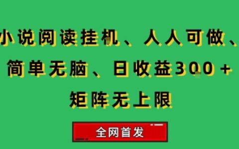 小說掛G閱讀，人人可做，簡單無腦，一天收益3張+矩陣無限上，全網首發【揭秘】