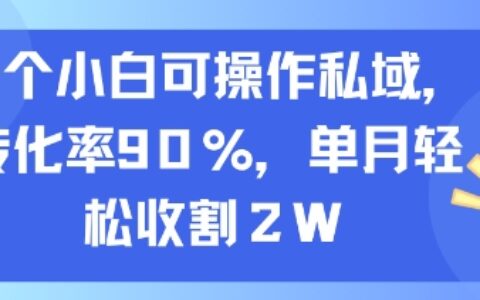 一個小白可操作私域，轉化率90%，單月輕松收割2W