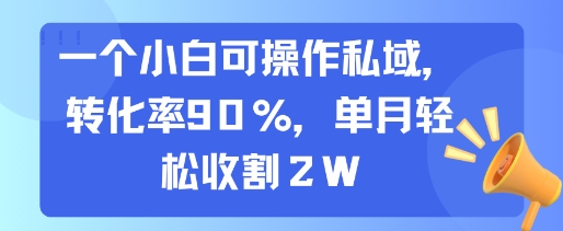 一個小白可操作私域，轉化率90%，單月輕松收割2W