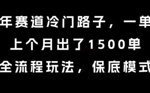 中老年賽道冷門路子，一單788，上個月出了1500單，全流程玩法，保底模式【揭秘】