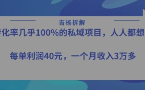 轉化率最高的私域項目，每單利潤40-50米，月入過1w