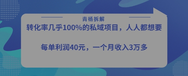 轉化率最高的私域項目,每單利潤40-50米,月入過1w