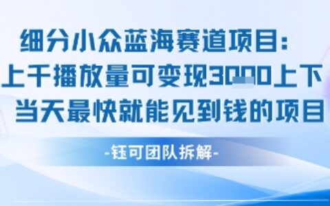 小眾藍海賽道項目：當天變現1k+適合新手操作 +適合長期玩