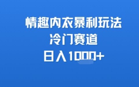 情趣內衣暴利玩法，冷門賽道，日入1k+
