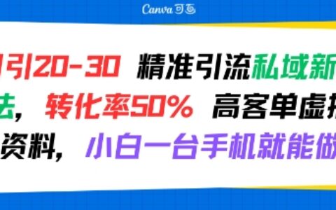 日引 20-30 精準引流私域新玩法，轉化率50% 高客單虛擬資料，小白一臺手機就能做