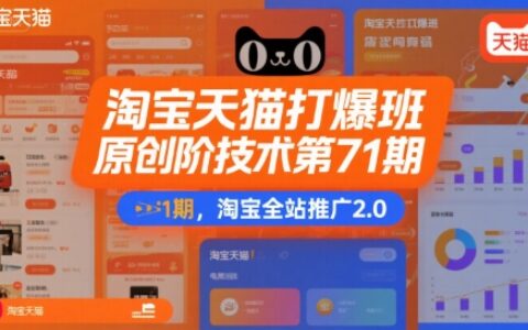 淘寶天貓打爆班原創(chuàng)高階技術(shù)第71期，淘寶全站推廣2.0