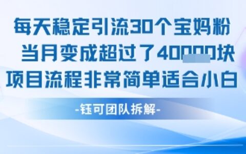 每天穩定引流30個人 當月變成超過了4個W項目流程非常簡單適合小白