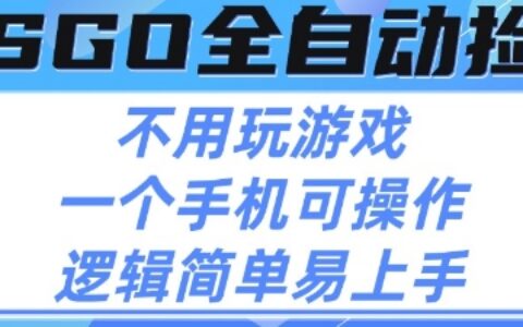 CSGO自動撿漏項目，最新獨家玩法，不用掛G不用玩游戲，一個手機即可操作，新手小白輕松月入1W+【揭秘】