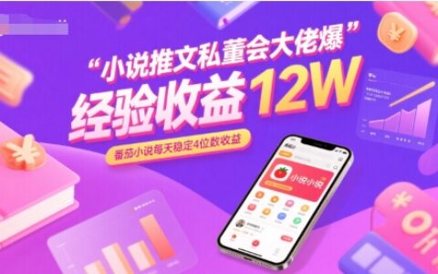 小說(shuō)推文私董會(huì)大佬爆單經(jīng)驗(yàn)分享收益12W，番茄小說(shuō)每天穩(wěn)定4位數(shù)收益