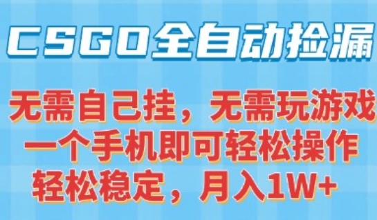 CSGO自動撿漏項目，最新獨家玩法，一個手機可操作，新手小白輕松月入1W+，操作簡單易上手【揭秘】