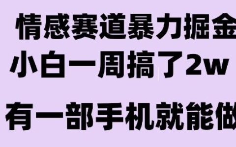 情感暴力掘金項目，新人操作一周掙了2W，長期穩定小白可做【揭秘】