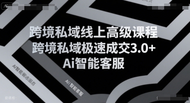 跨境私域線上高級課程，跨境私域極速成交3.0+Ai智能客服