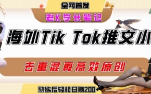 海外tiktok小說推文暴力項目，高停留率，高轉化率，上手后一天搞頓飯錢不是問題