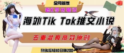 海外tiktok小說推文暴力項(xiàng)目,高停留率,高轉(zhuǎn)化率,上手后一天搞頓飯錢不是問題