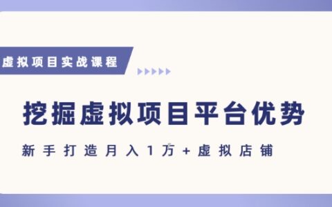 抓住虛擬項目各平臺優勢，新手輕松月入1W+(給出具體建議)