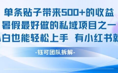 單條貼子帶來5張的收益，暑假最好做的私域項目之一，小白也能輕松上手，有小紅書就行