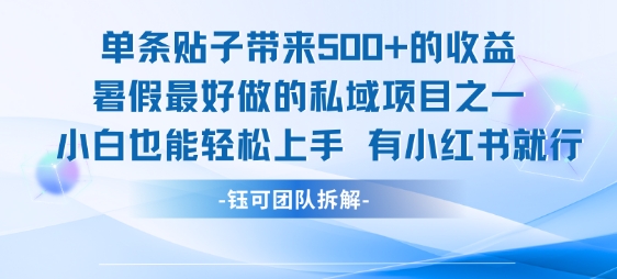 單條貼子帶來5張的收益,暑假最好做的私域項目之一,小白也能輕松上手,有小紅書就行