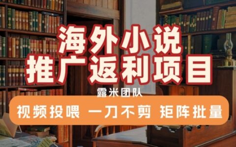 海外小說推廣返利項目，視頻投喂， 一刀不剪，矩陣批量