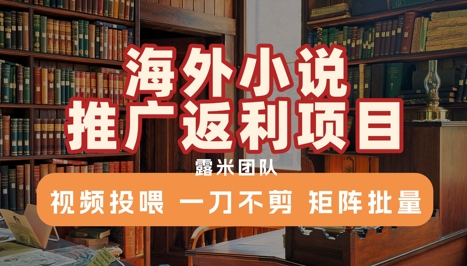 海外小說推廣返利項目，視頻投喂， 一刀不剪，矩陣批量